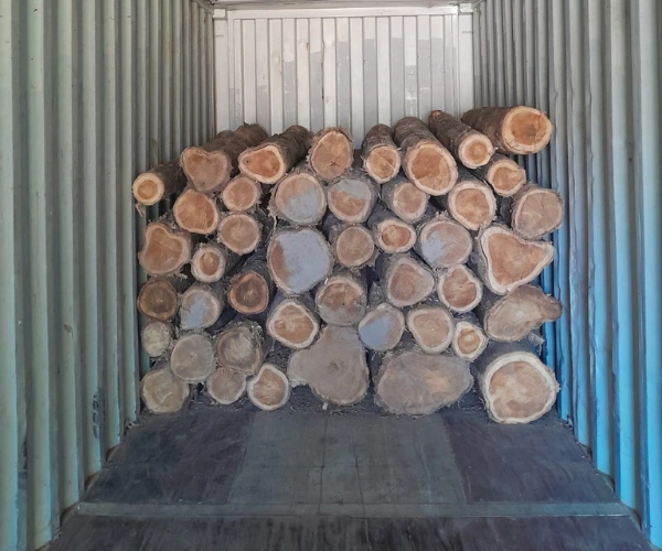 Teak Wood Log Manufacturers in Chennai